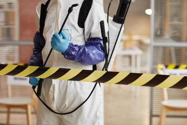 Professional Sewage Cleanup technician working in Lytle Creek, CA